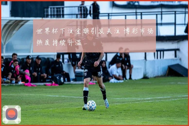 世界杯下注金额引发关注 博彩市场热度持续升温